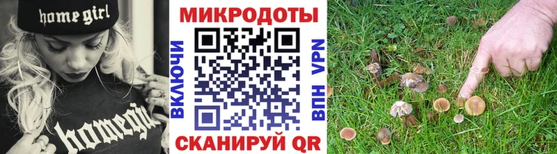 Галлюциногенные грибы мухоморы  OMG онион  Апатиты 