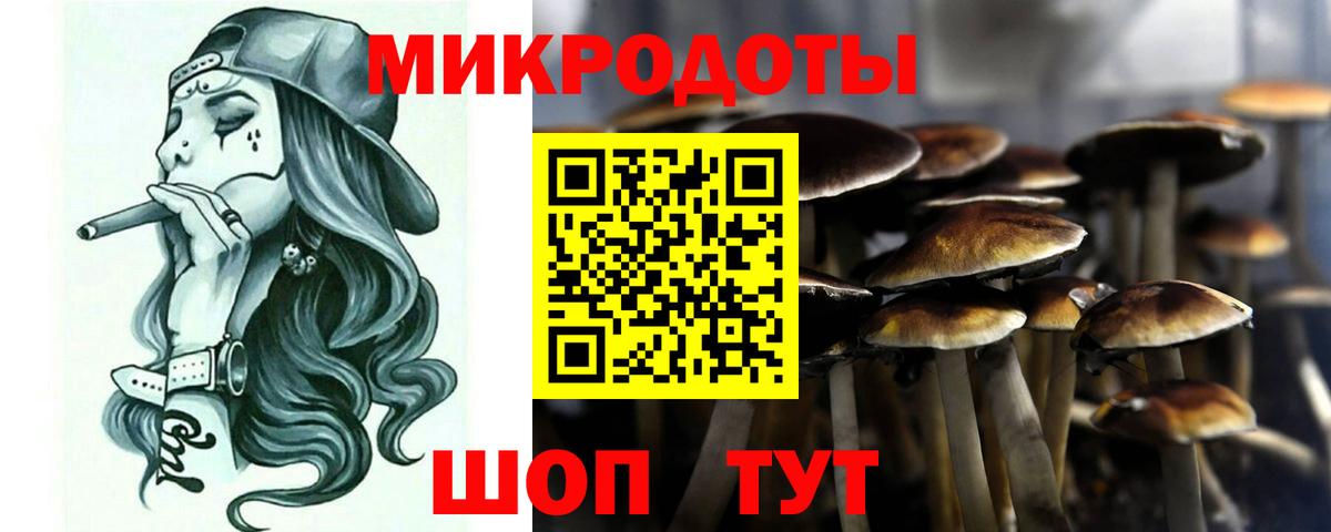 Апатиты  Галлюциногенные грибы MAGIC MUSHROOMS  Вход с VPN 